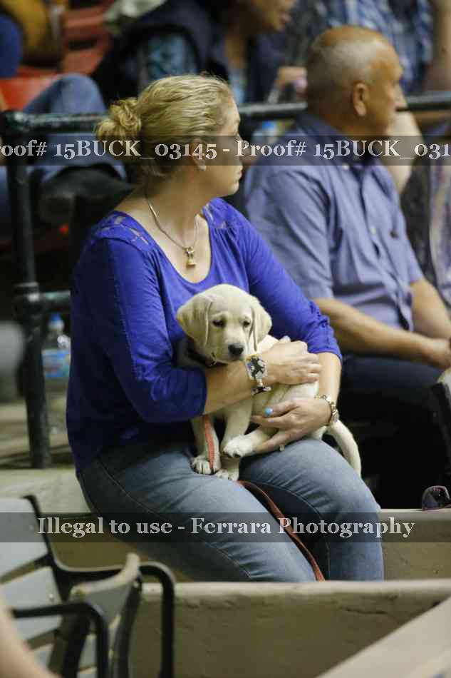 Proof 15BUCK_03145