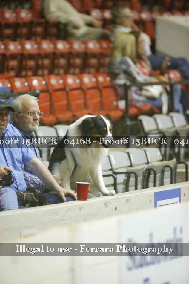 Proof 15BUCK_04168