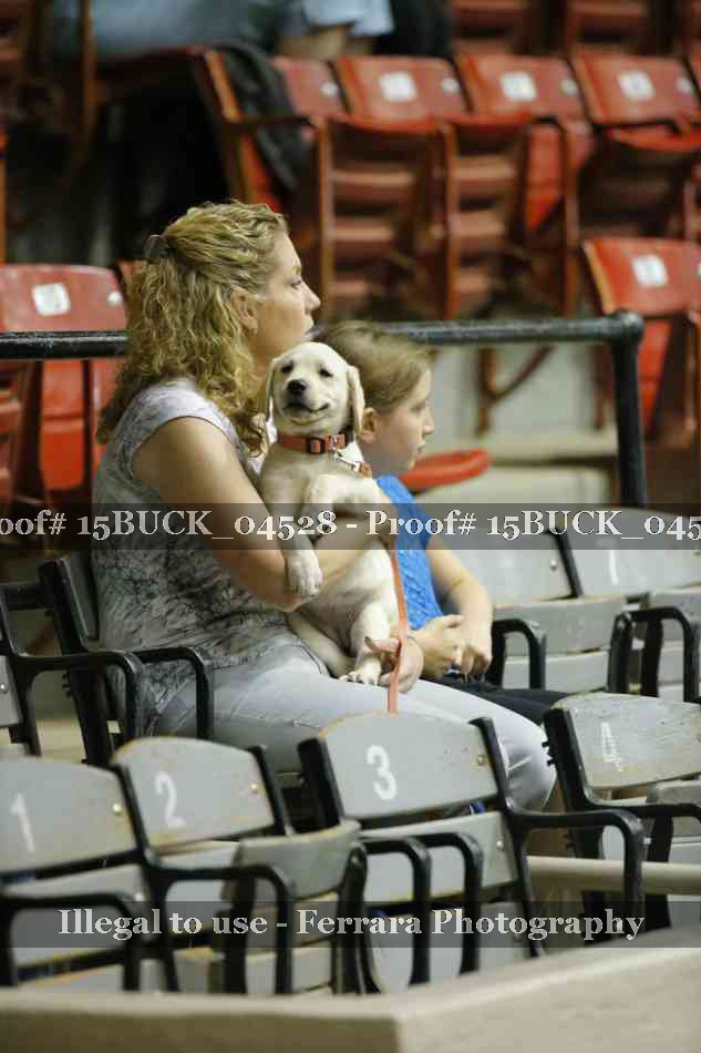 Proof 15BUCK_04528