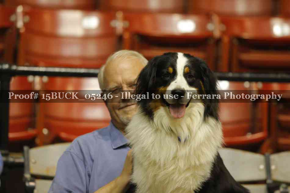 Proof 15BUCK_05246