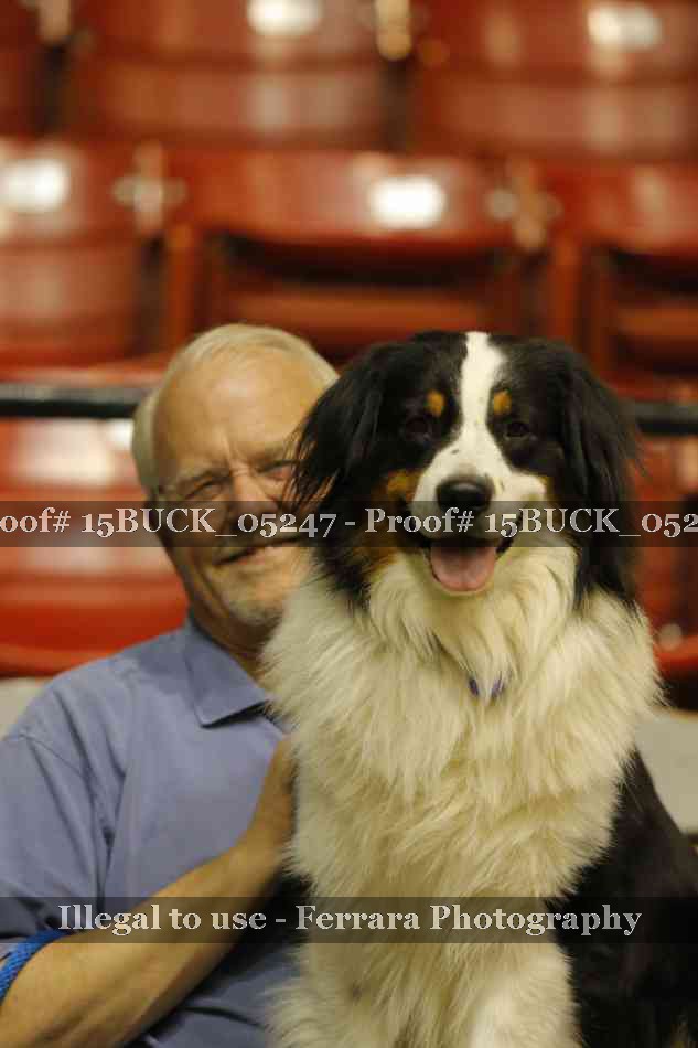 Proof 15BUCK_05247