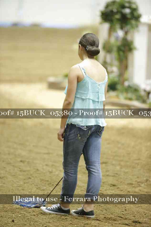 Proof 15BUCK_05380