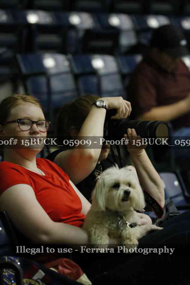 Proof 15BUCK_05909