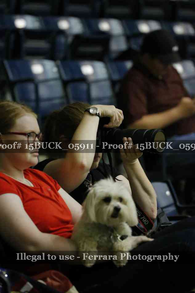 Proof 15BUCK_05911
