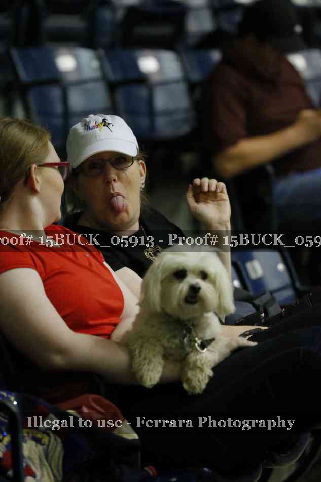 Proof 15BUCK_05913