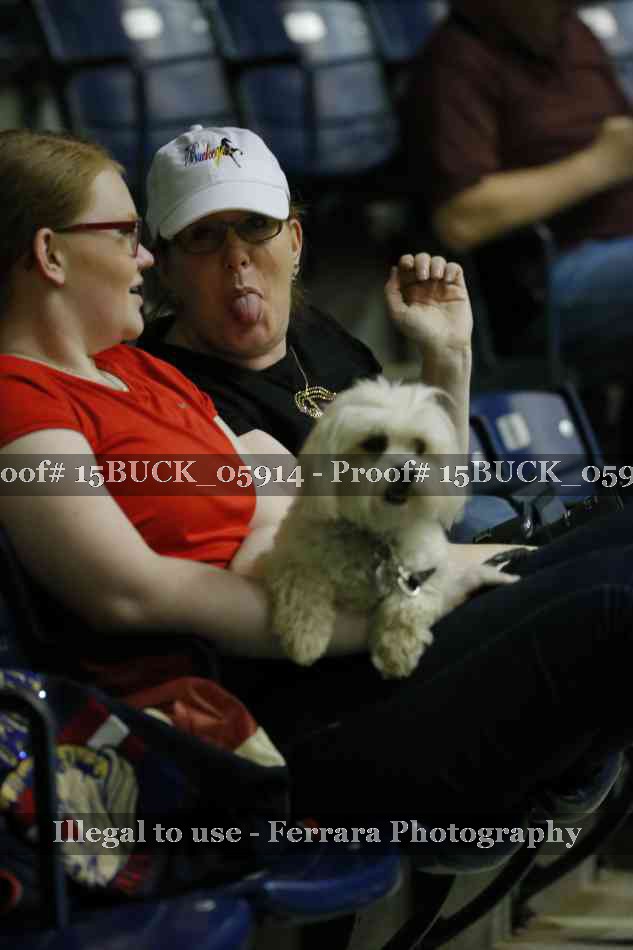 Proof 15BUCK_05914