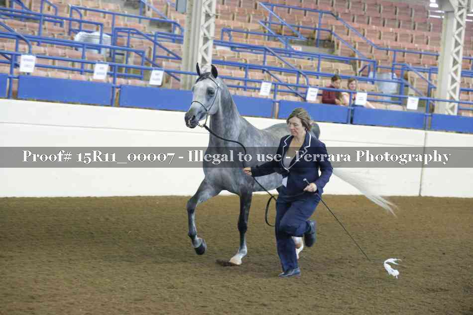 Proof 15R11_00007