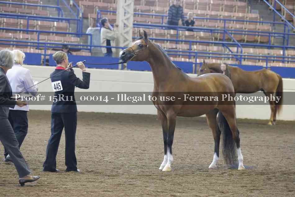 Proof 15R11_00014