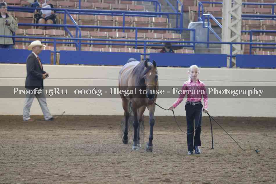 Proof 15R11_00063