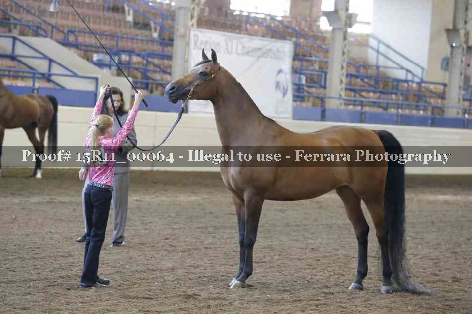 Proof 15R11_00064