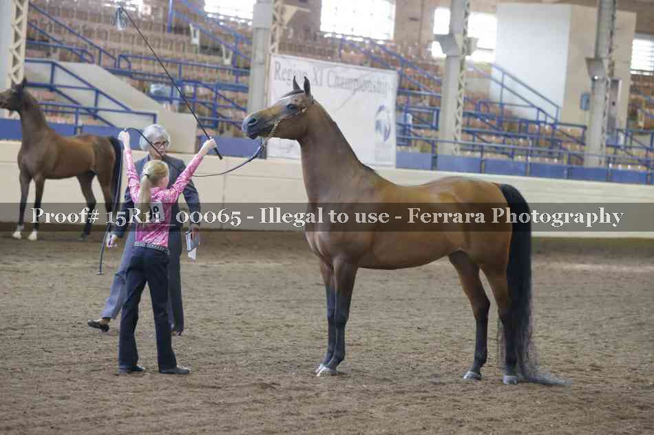 Proof 15R11_00065