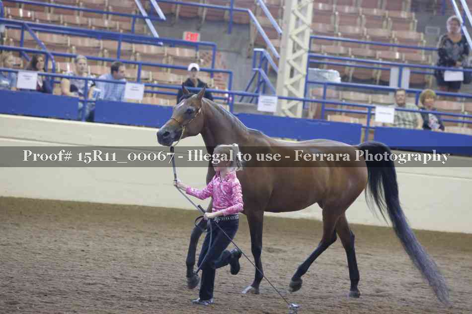 Proof 15R11_00067