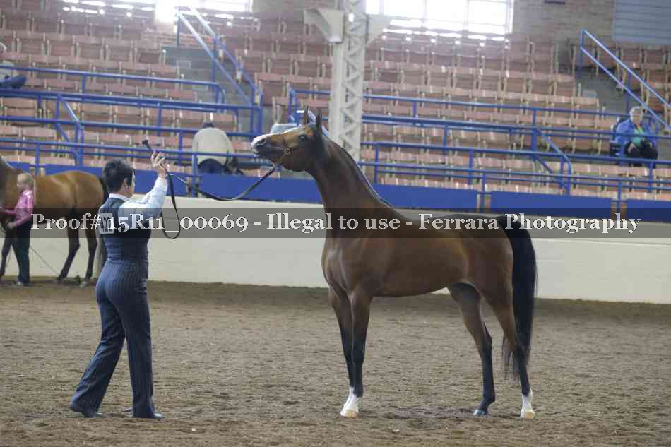 Proof 15R11_00069