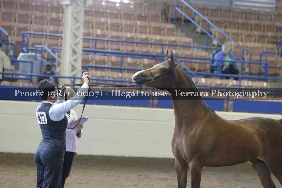 Proof 15R11_00071