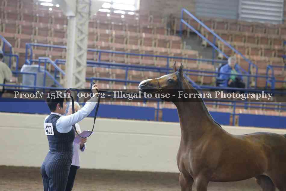 Proof 15R11_00072