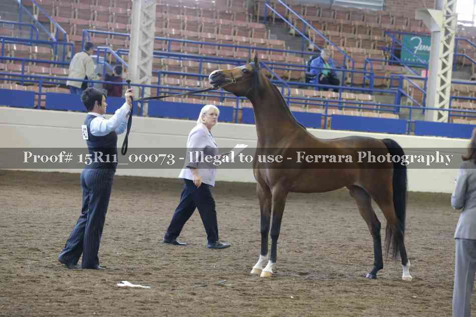 Proof 15R11_00073