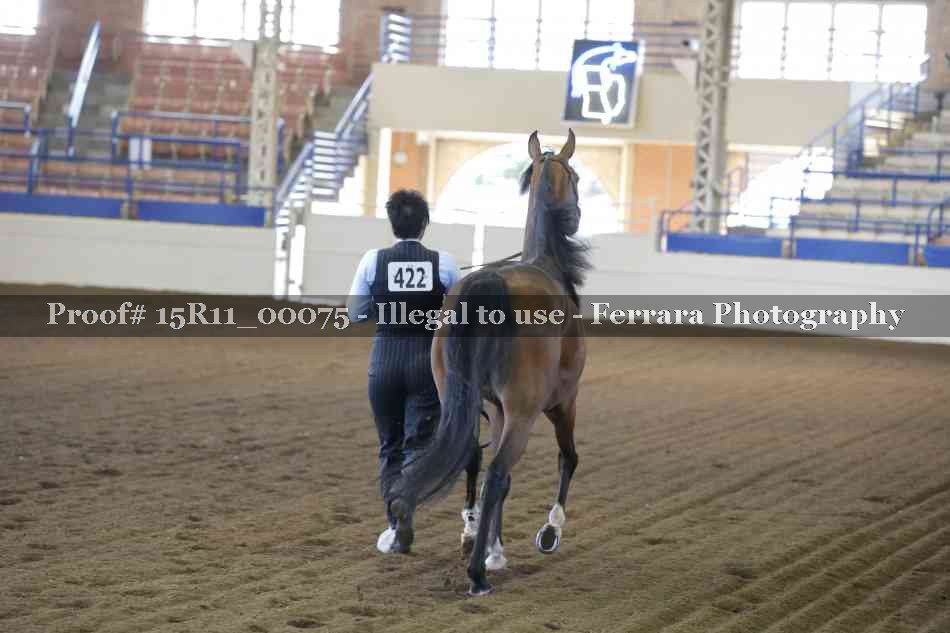 Proof 15R11_00075