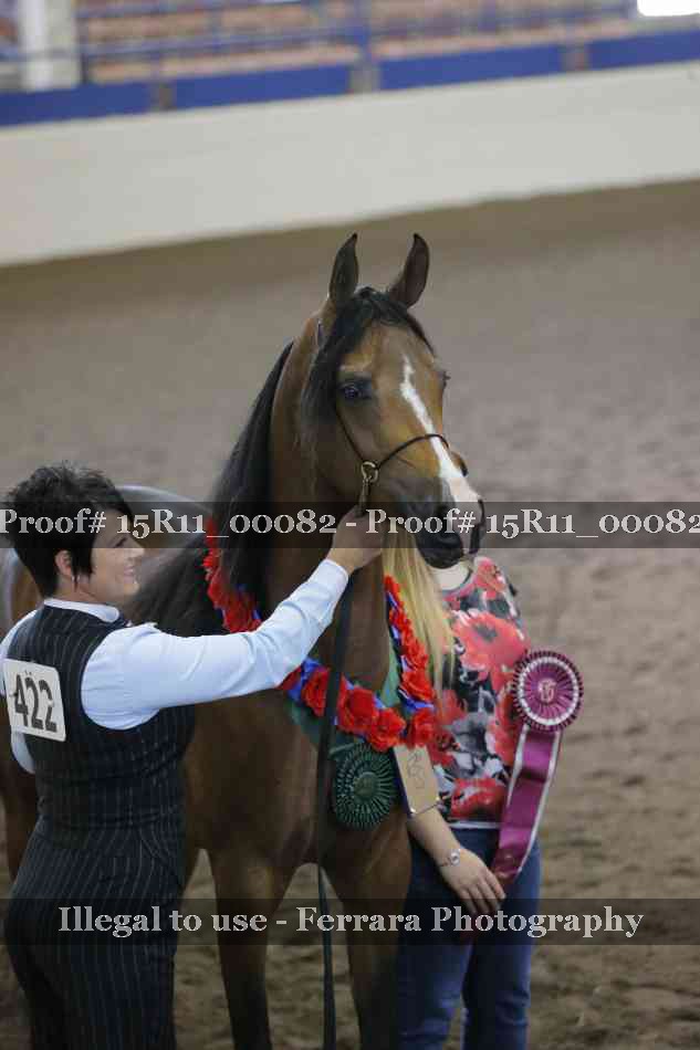 Proof 15R11_00082