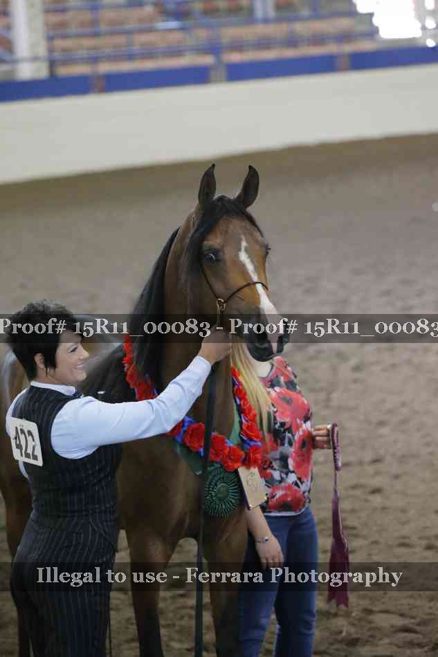 Proof 15R11_00083