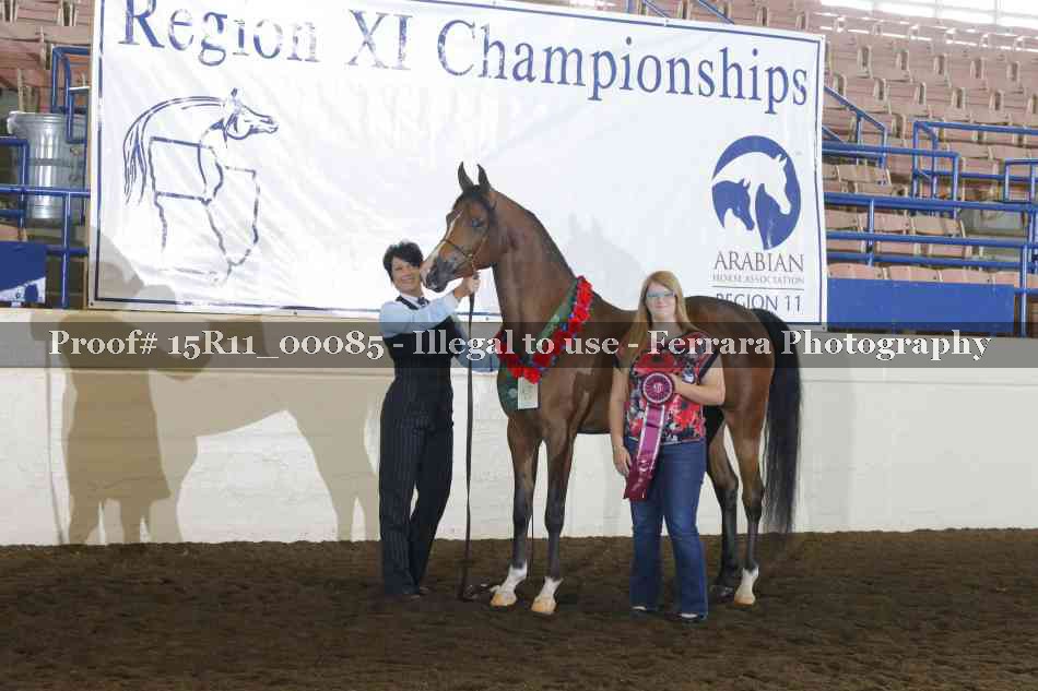 Proof 15R11_00085