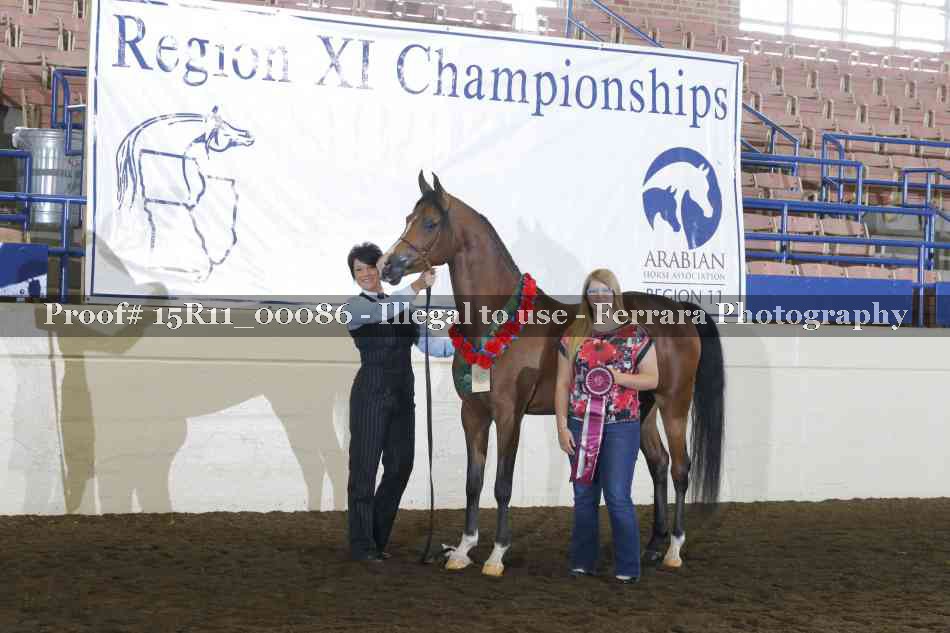 Proof 15R11_00086