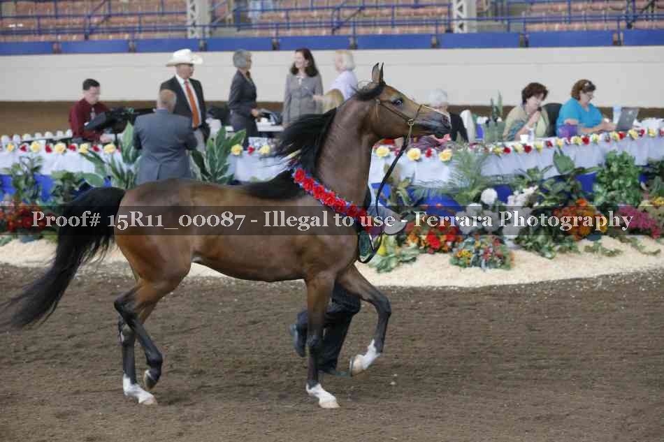 Proof 15R11_00087