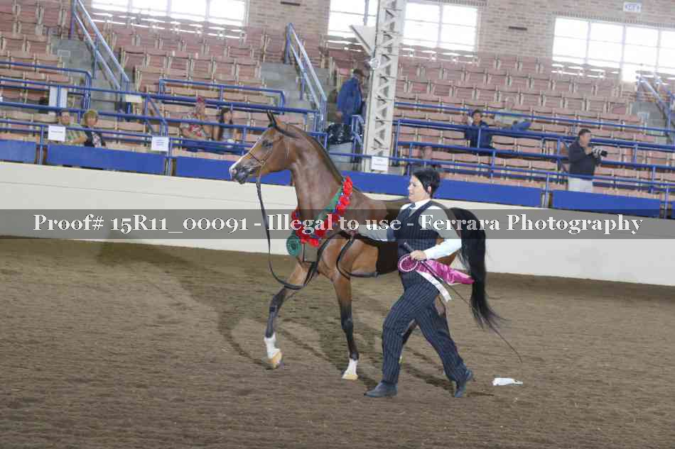 Proof 15R11_00091