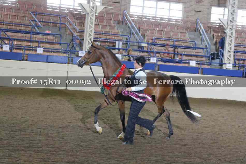 Proof 15R11_00092