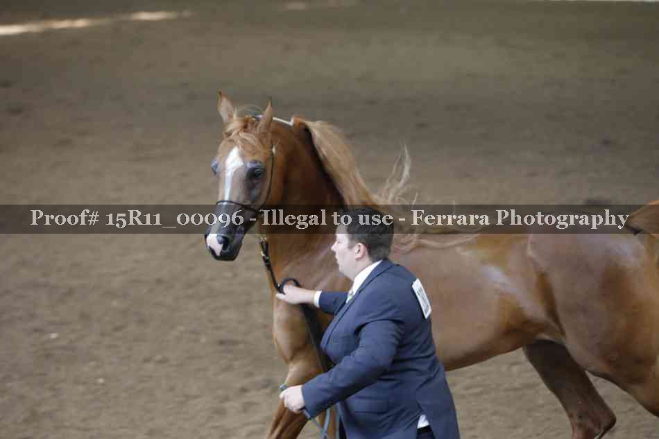 Proof 15R11_00096