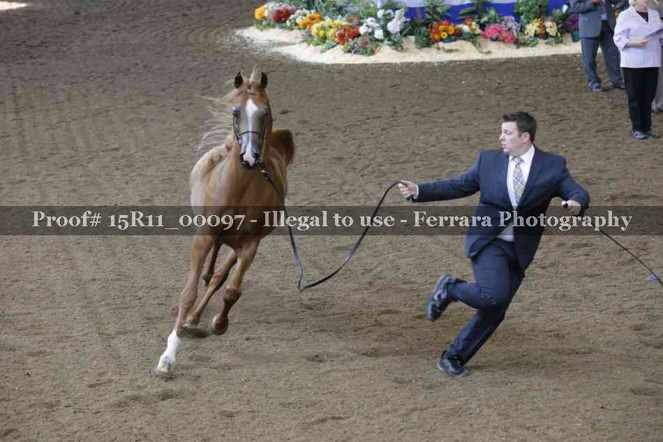 Proof 15R11_00097