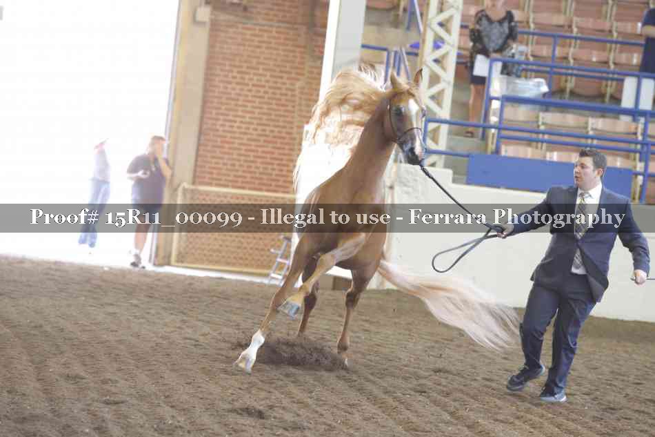 Proof 15R11_00099