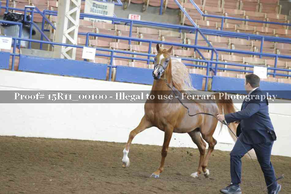 Proof 15R11_00100