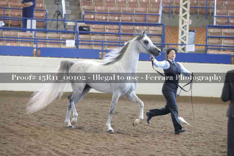 Proof 15R11_00102