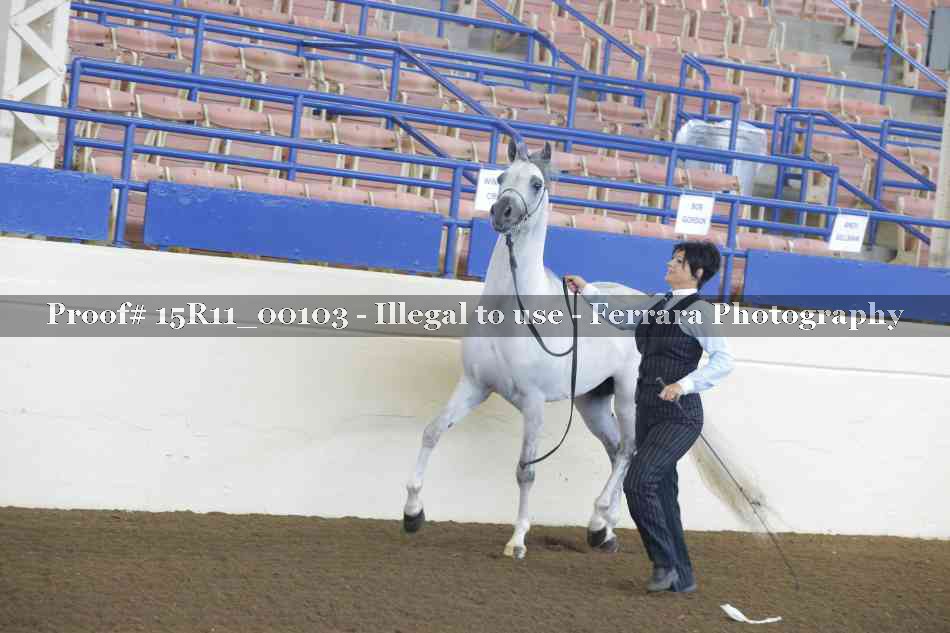 Proof 15R11_00103