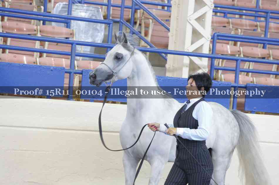 Proof 15R11_00104