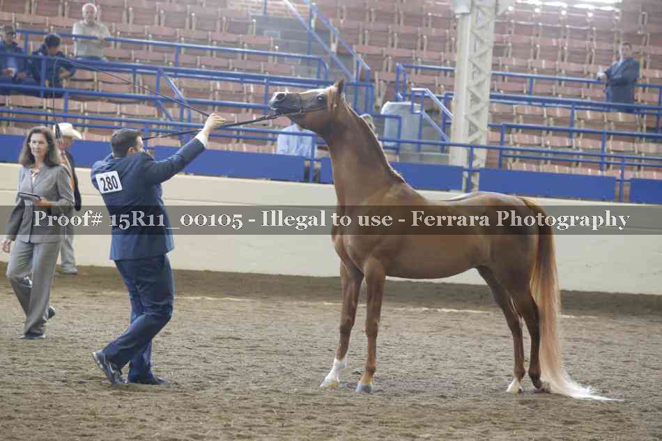 Proof 15R11_00105