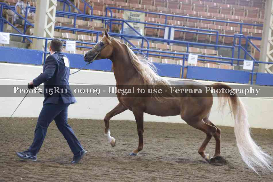 Proof 15R11_00109