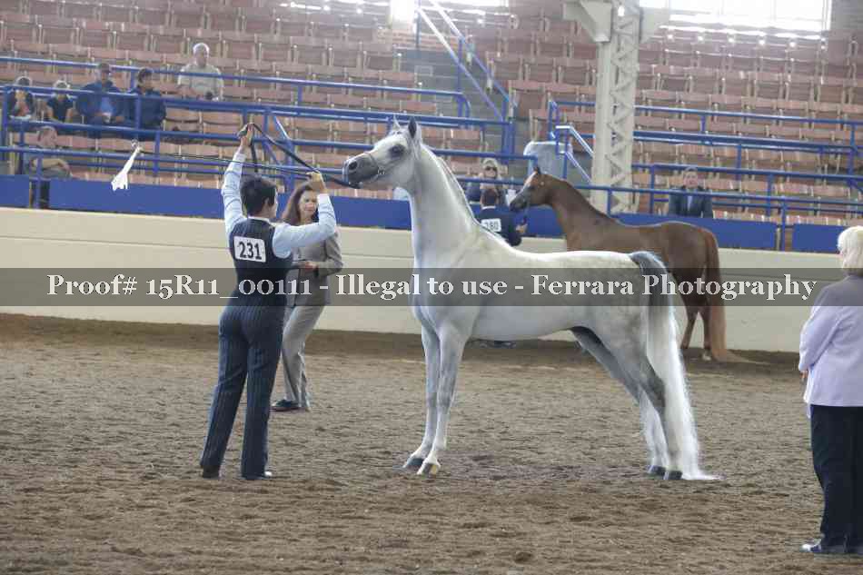 Proof 15R11_00111