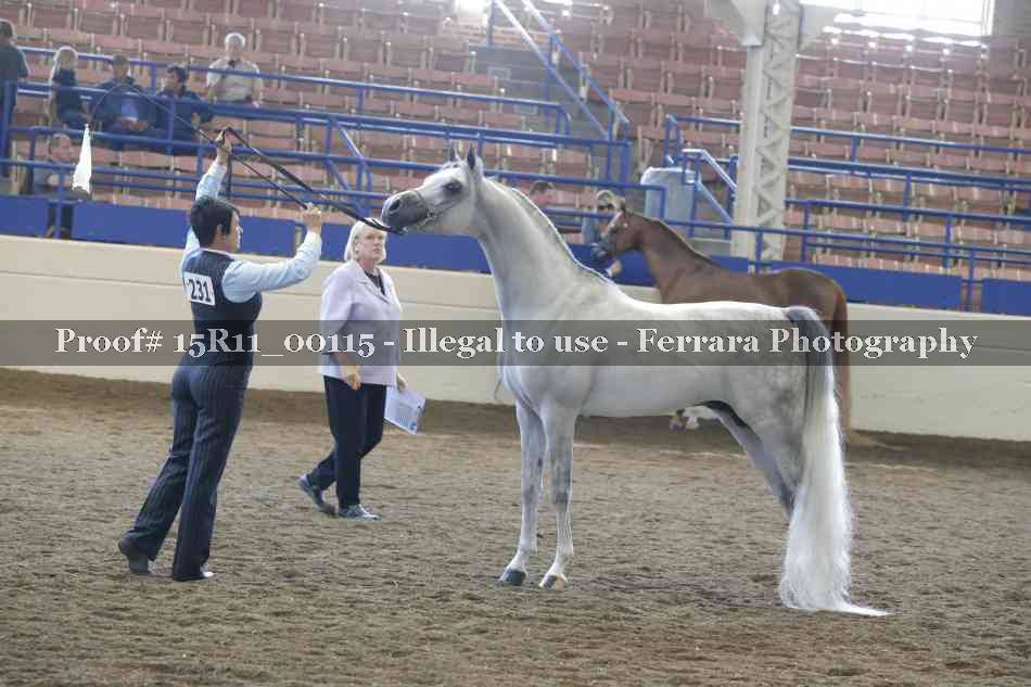 Proof 15R11_00115