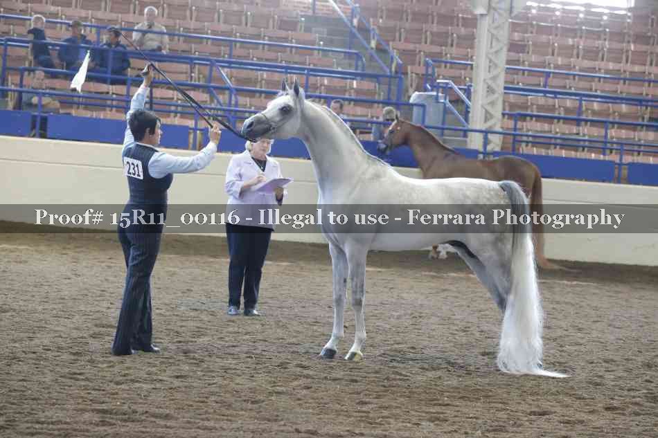 Proof 15R11_00116