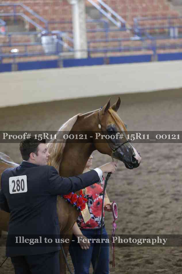 Proof 15R11_00121