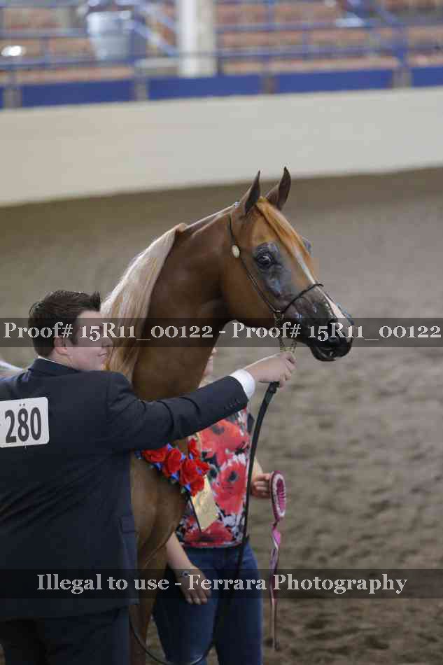 Proof 15R11_00122