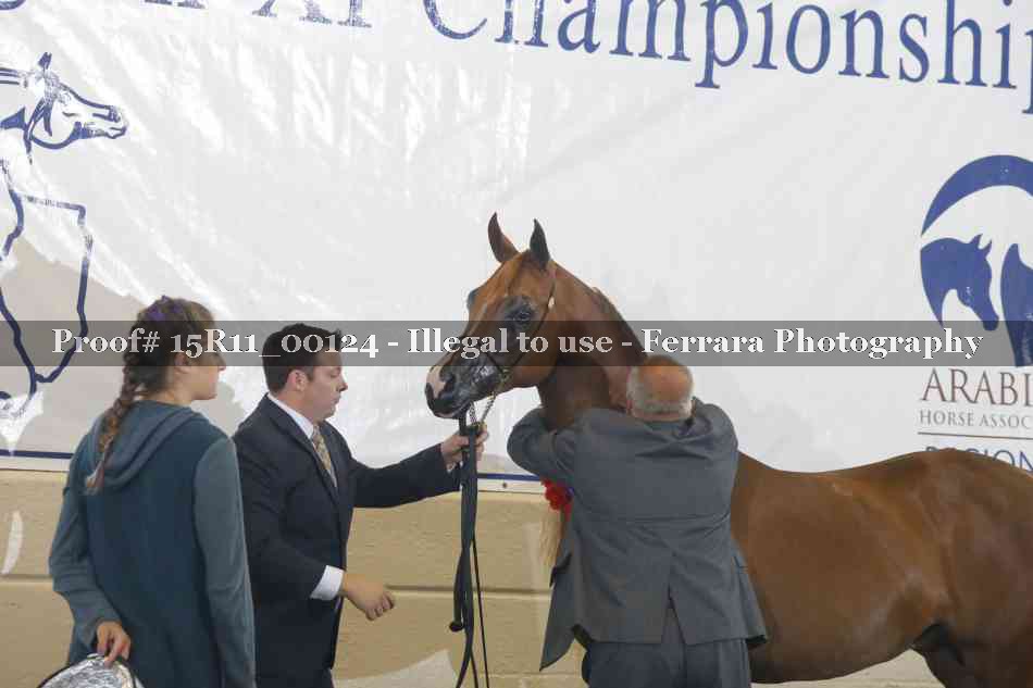 Proof 15R11_00124