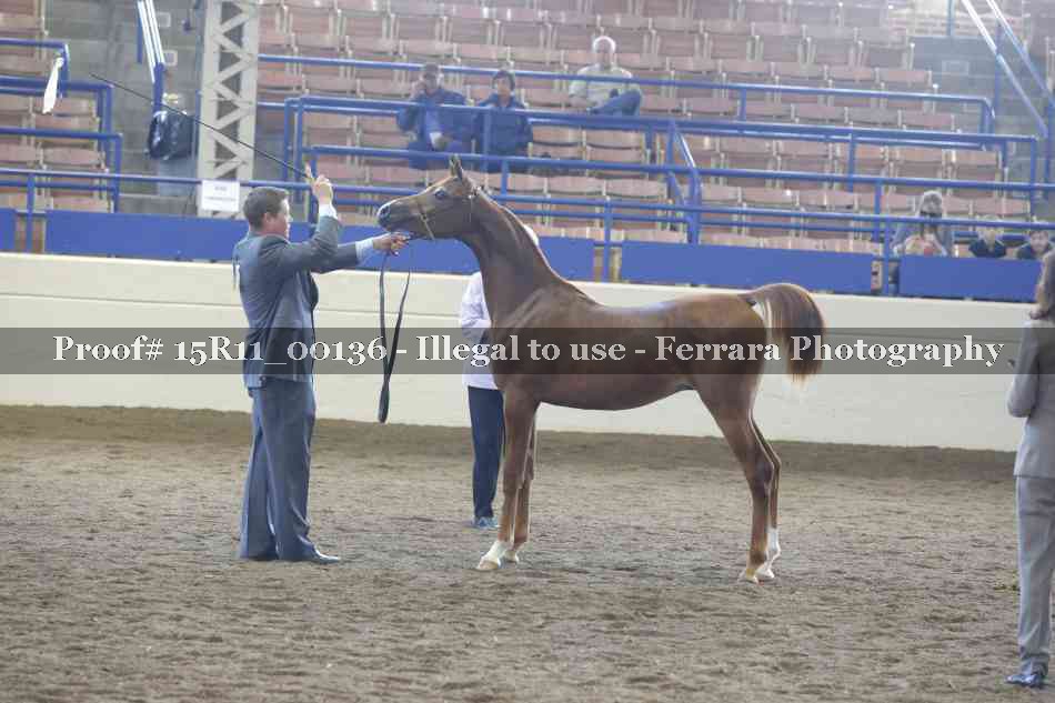 Proof 15R11_00136