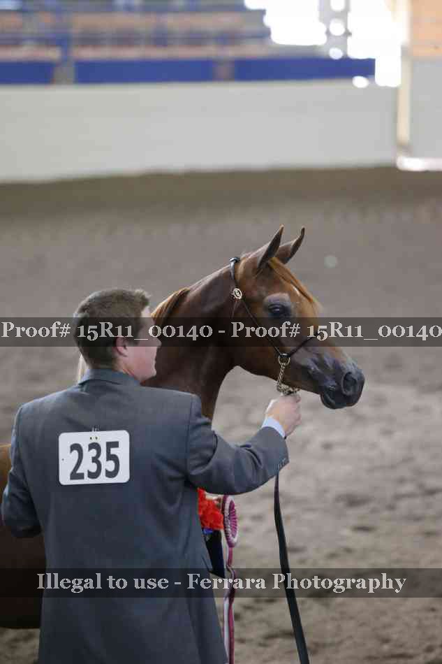 Proof 15R11_00140