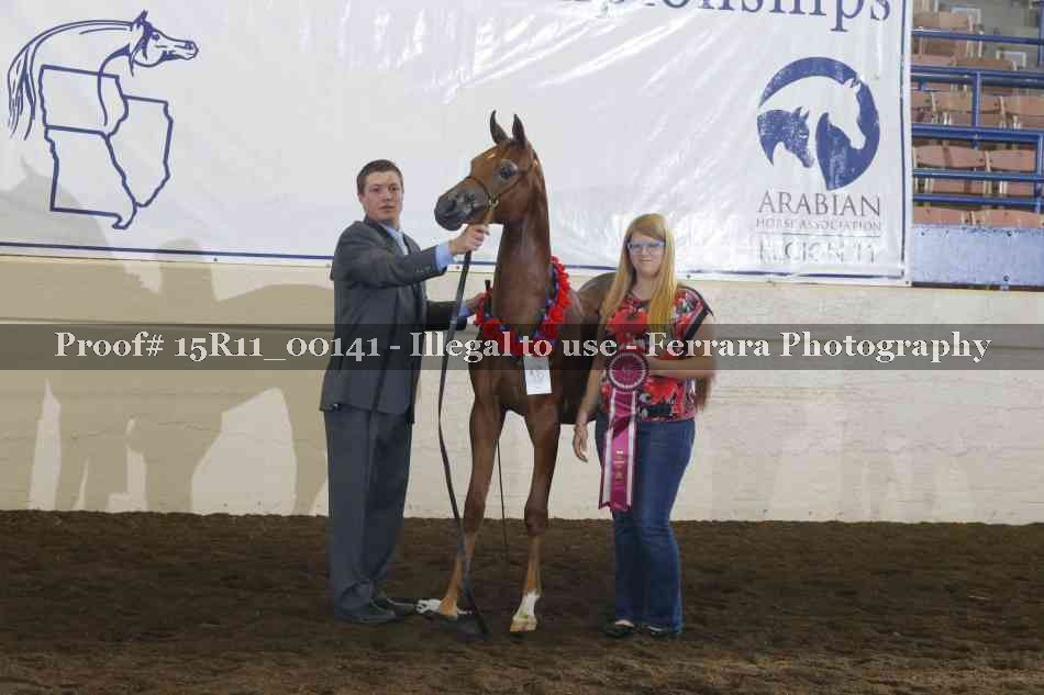 Proof 15R11_00141