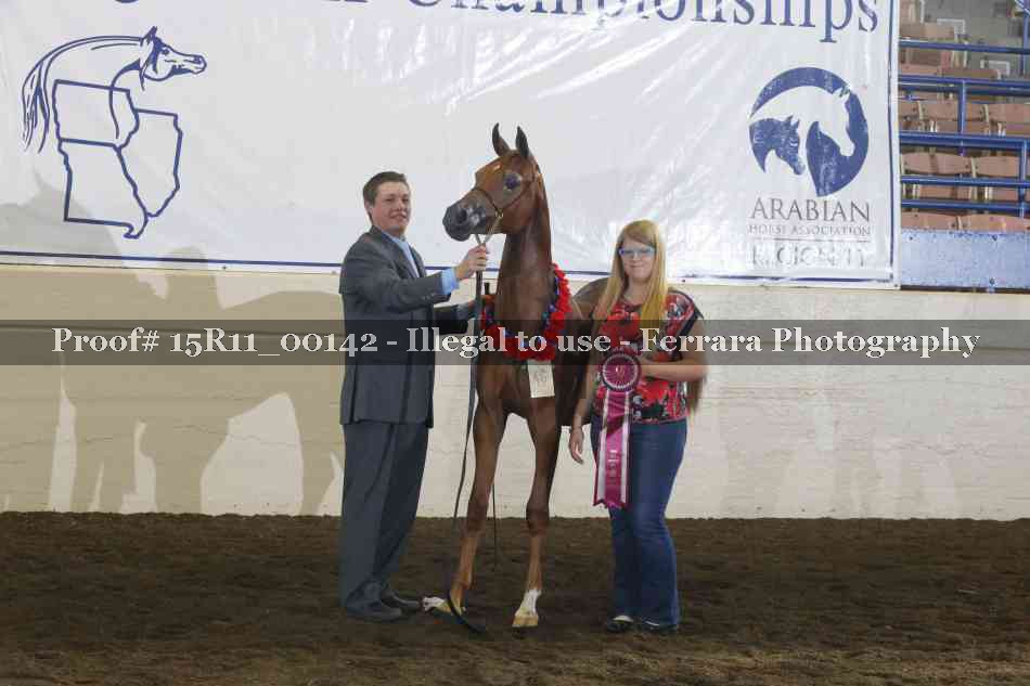 Proof 15R11_00142