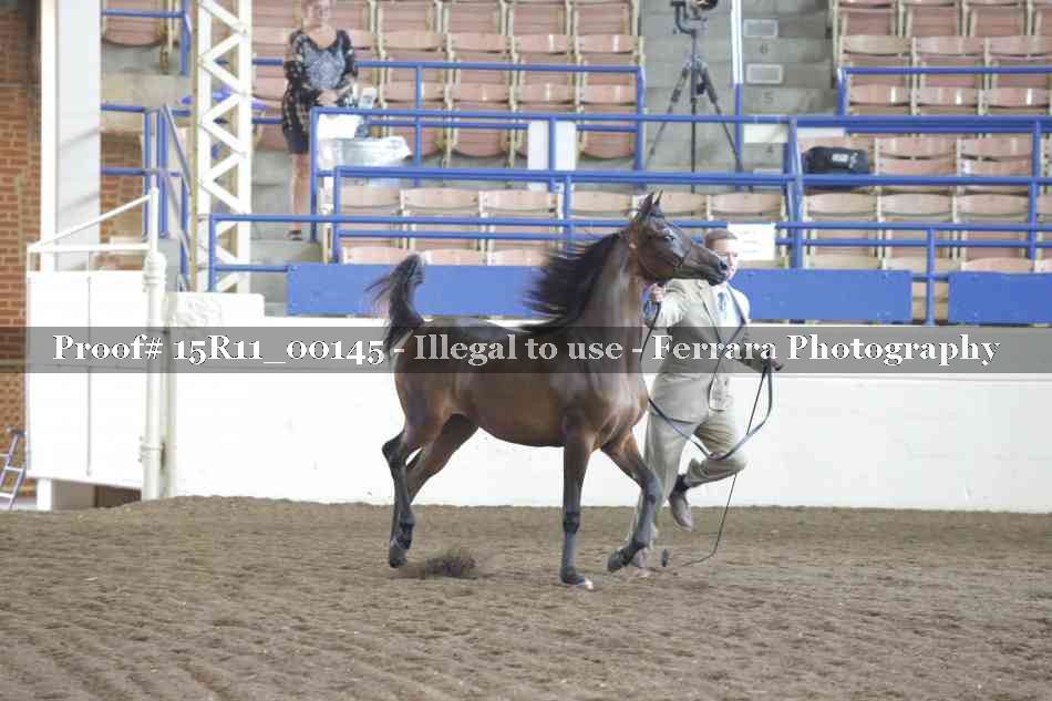 Proof 15R11_00145