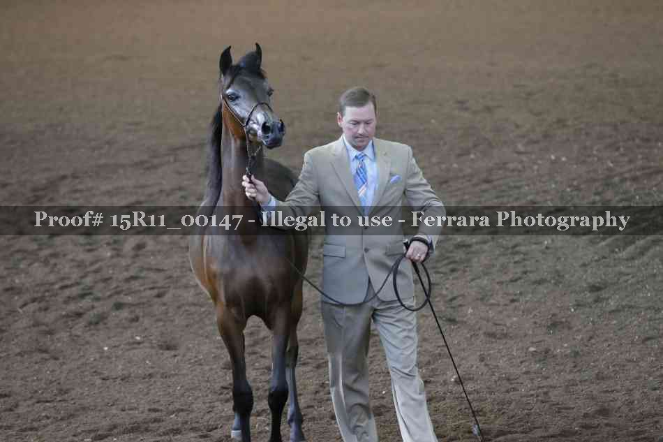 Proof 15R11_00147