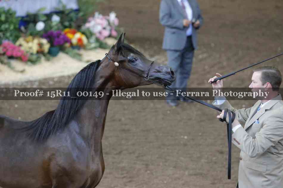 Proof 15R11_00149